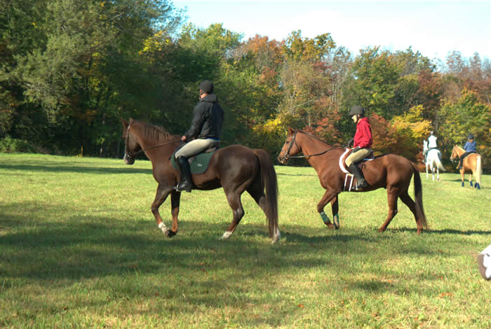 <span style="height:194px;background:url(http://picasaweb.google.com/s/c/transparent_album_background.gif) no-repeat left"><a href="http://picasaweb.google.com/GraftonLandTrust/GreenwayChallenge?feat=embedwebsite"><img src="file:///Untitled/Users/michaelurban/Library/Application%20Support/Adobe/Contribute%20CS4/en_US/Sites/Site3AssetsTemp/IMGP1678.jpg" width="700" height="470"></a></span>