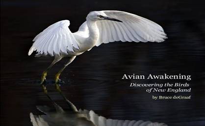 Click to preview book