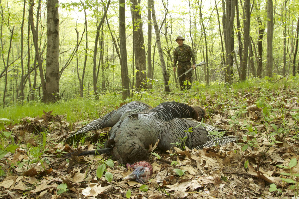 Grafton land trust hunting